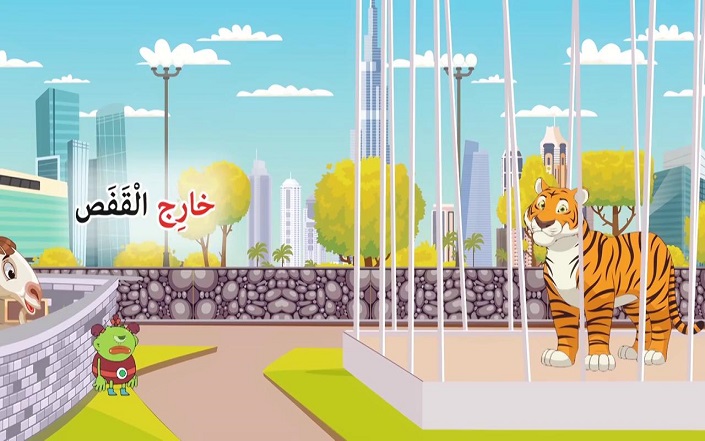 Video image